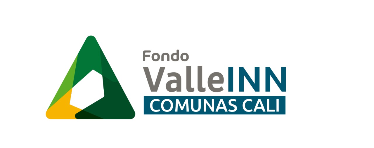 actualidad/terminos-de-referencia-convocatoria-fondo-valle-inn-comunas-2021